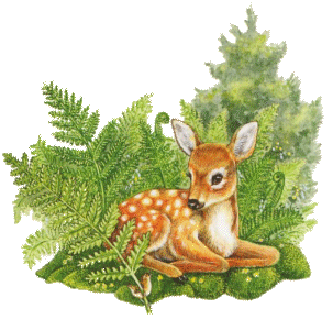 Click image for larger version  Name:	animated-deer-image-0003.gif Views:	2 Size:	46.2 KB ID:	103