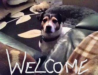 Click image for larger version

Name:	IMG_20210101_224054.jpg
Views:	12
Size:	117.7 KB
ID:	187