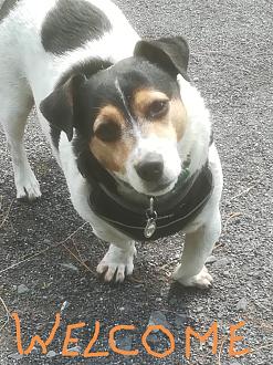 Click image for larger version

Name:	IMG_20210101_221706.jpg
Views:	23
Size:	131.1 KB
ID:	190