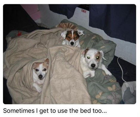 Click image for larger version  Name:	Forum - the Smith Girls for Craig.jpg Views:	0 Size:	45.7 KB ID:	241