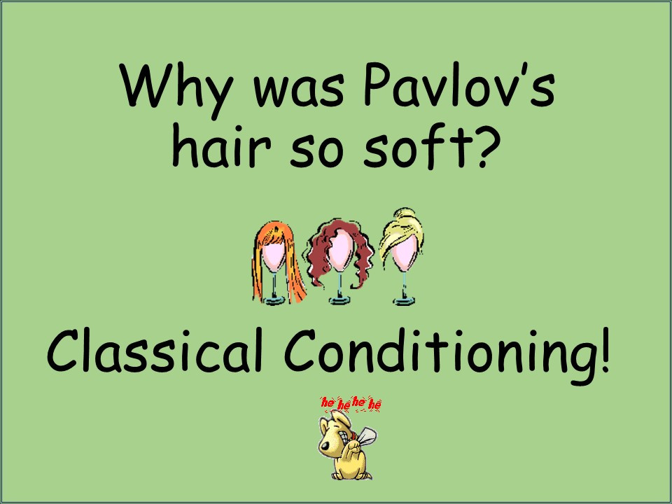 Click image for larger version

Name:	Why was Pavlov’s.jpg
Views:	0
Size:	104.5 KB
ID:	260