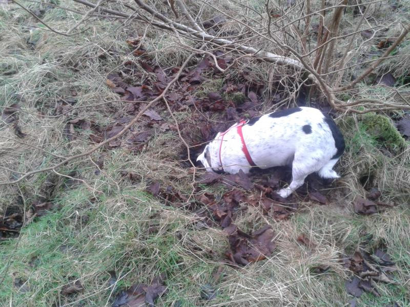 Click image for larger version

Name:	2016.09.30  Sept Photo Comp for Oct - Birthday Fun.jpg
Views:	15
Size:	203.4 KB
ID:	262