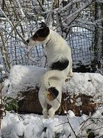 Click image for larger version

Name:	Comp Jan   2015 By John Howells - I will stop spying on the neighbours. Mostly.jpg
Views:	14
Size:	17.4 KB
ID:	263