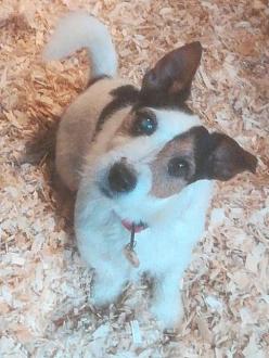 Click image for larger version

Name:	2020 Photo FB Comp Pip Heathfield.jpg
Views:	15
Size:	96.4 KB
ID:	265