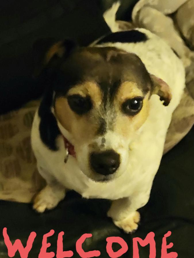 Click image for larger version

Name:	20211205_231626.jpg
Views:	7
Size:	50.1 KB
ID:	318